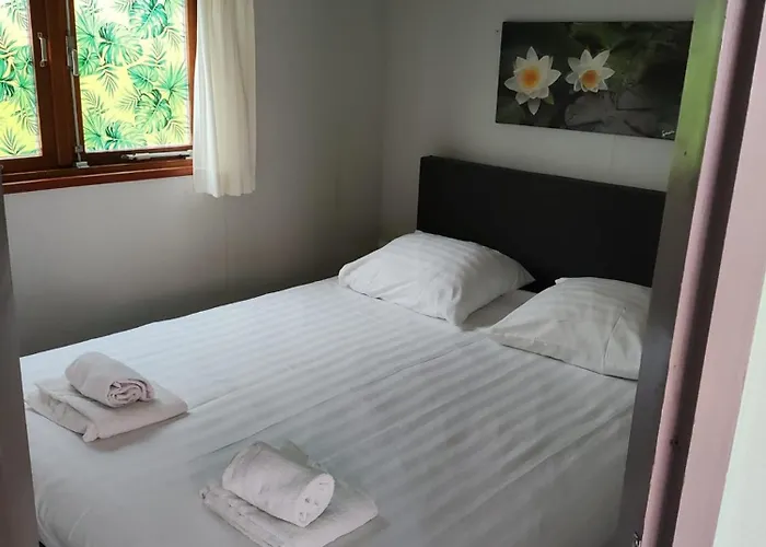 Veluwe, Alleen Voor Recreatie *